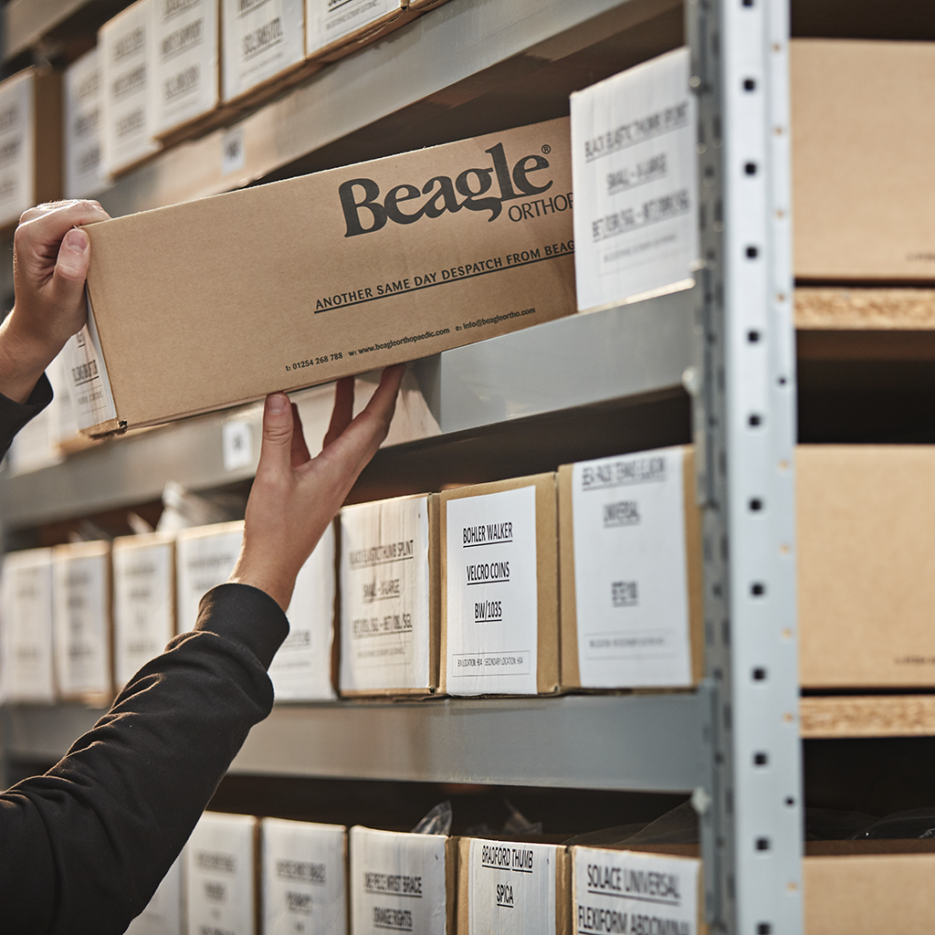 Beagle Orthopaedic stocked goods